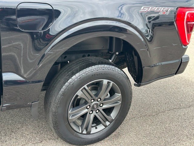 2023 Ford F-150 XLT — photo 8 of 30