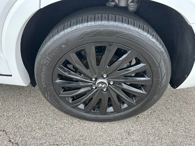 2024 Hyundai Palisade Calligraphy Night Edition — photo 8 of 41