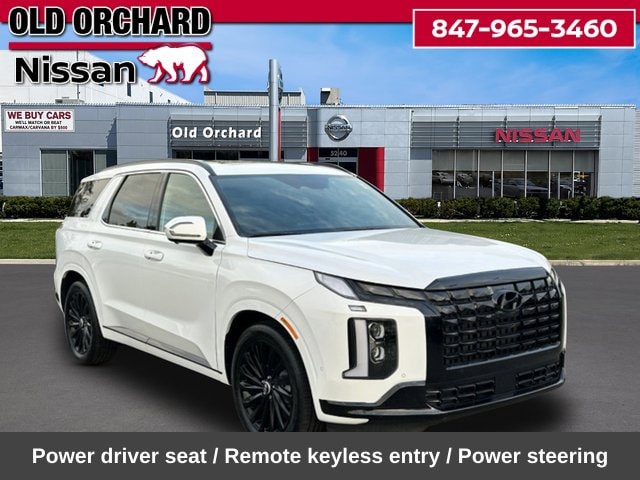 2025 Hyundai Palisade Calligraphy Night Edition — photo 5 of 22