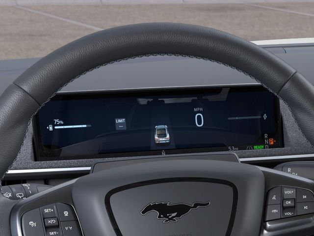 2025 Ford Mustang Mach-E GT — photo 14 of 52