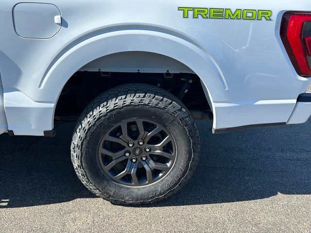2023 Ford F-150 Tremor — photo 7 of 28