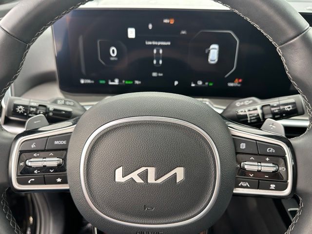 2025 Kia Sorento Plug-In Hybrid SX Prestige — photo 42 of 45