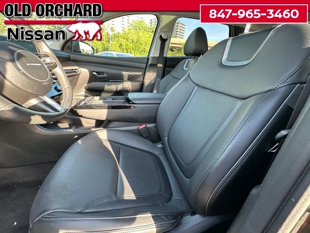2025 Hyundai Tucson Limited — photo 12 of 22