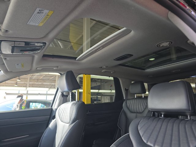 2024 Hyundai Palisade Limited — photo 10 of 10