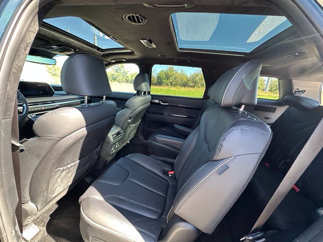 2025 Hyundai Palisade Calligraphy — photo 19 of 43