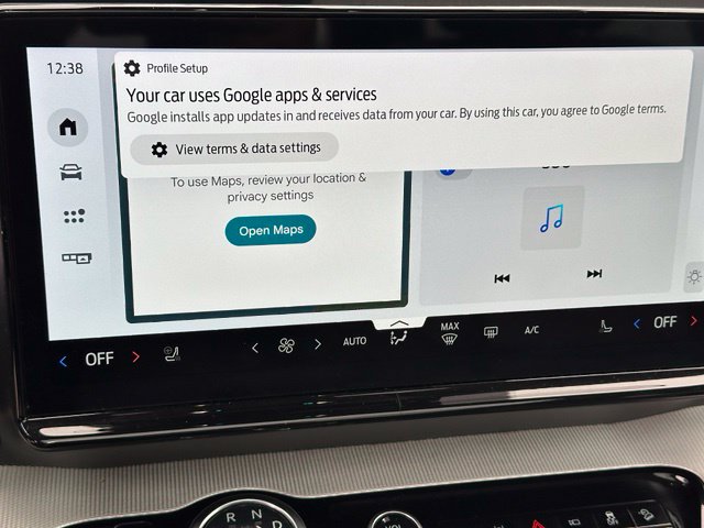 2025 Ford Expedition Active — photo 29 of 41