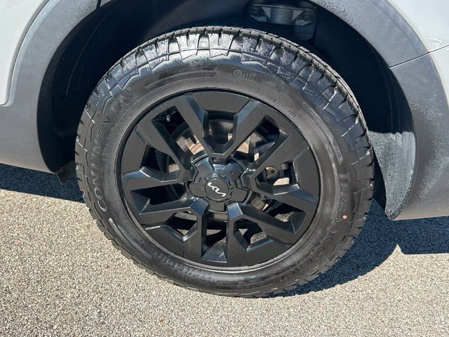 2024 Kia Telluride SX-Prestige X-Pro — photo 8 of 40