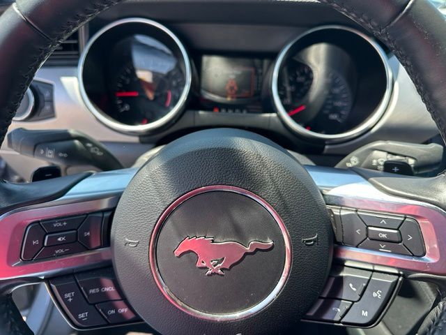 2021 Ford Mustang Ecoboost Premium — photo 18 of 21