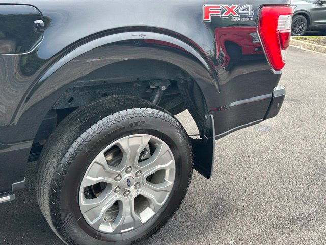 2023 Ford F-150 Platinum — photo 8 of 32