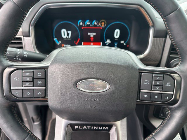 2023 Ford F-150 Platinum — photo 31 of 32