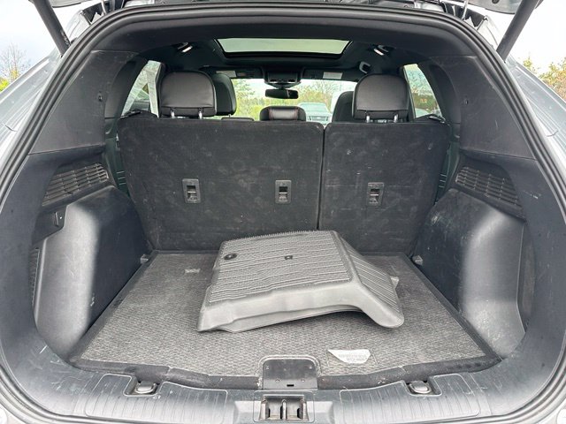 2023 Ford Escape ST-Line Elite — photo 10 of 31