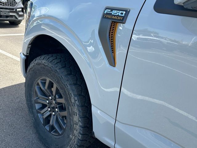 2023 Ford F-150 Tremor — photo 9 of 29
