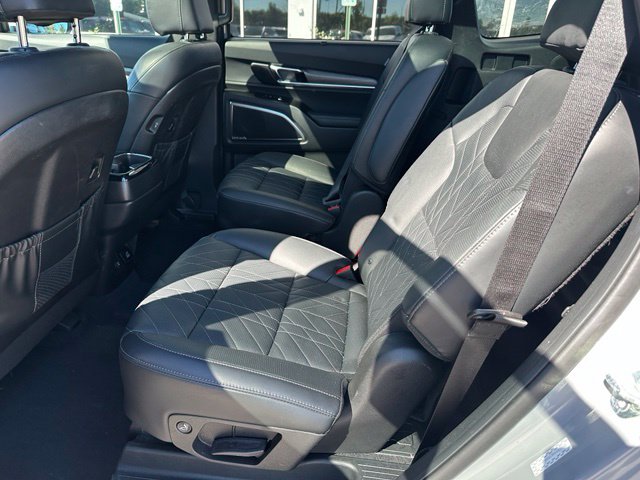 2024 Kia Telluride SX-Prestige X-Pro — photo 16 of 40