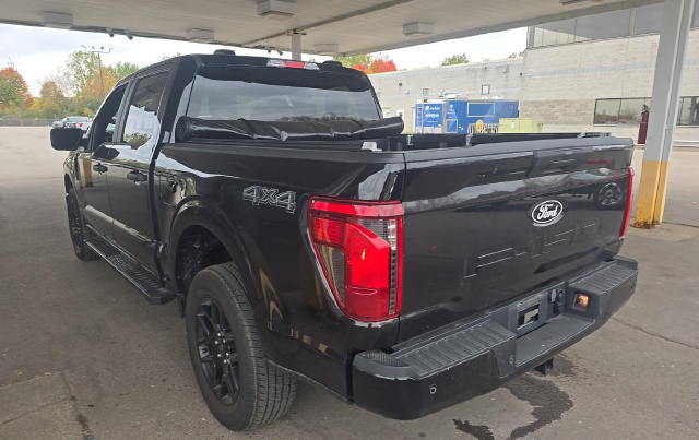 2024 Ford F-150 STX — photo 4 of 8