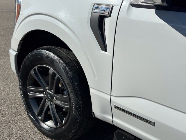 2023 Ford F-150 Lariat — photo 9 of 28