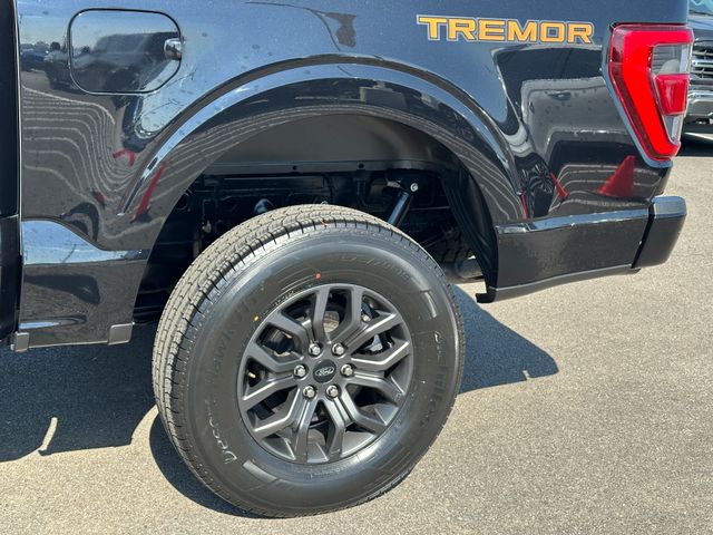 2023 Ford F-150 Tremor — photo 8 of 39