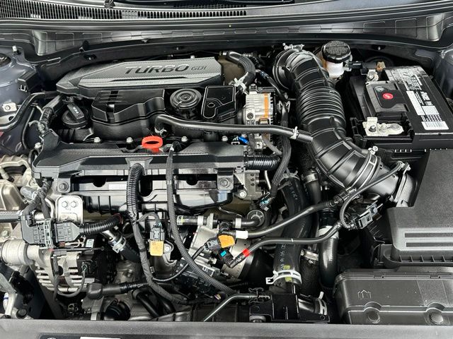 2024 Hyundai Elantra N Line — photo 9 of 32