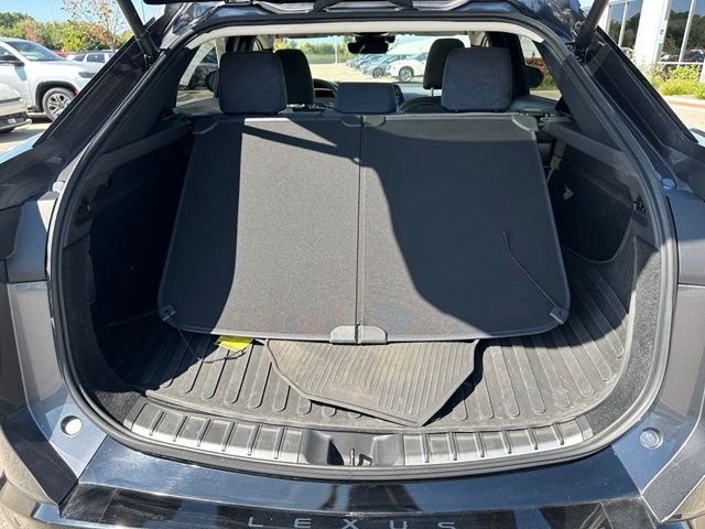 2023 LEXUS RZ 450e Luxury — photo 14 of 32