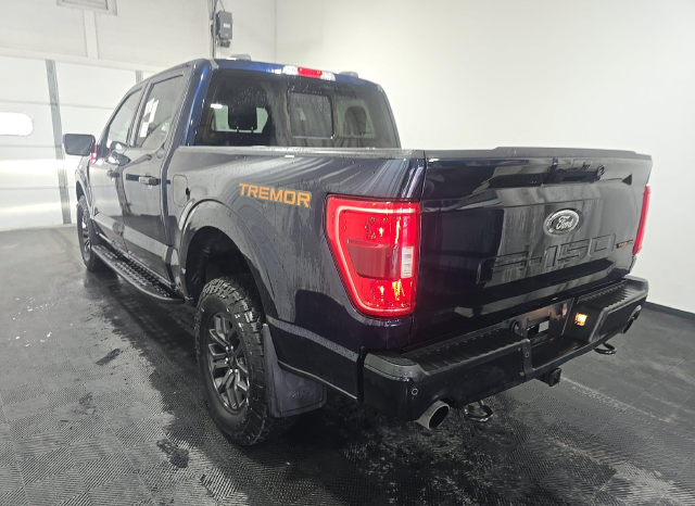2023 Ford F-150 Tremor — photo 4 of 9